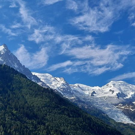 Le Petit Balcon Avec Vue Sur Le Mont-Blanc 2 Etoiles Apartment Chamonix Exterior photo